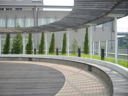 クローバー第19号表紙写真 クローバー第19号表紙写真