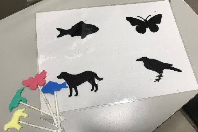 写真:小児の視力検査