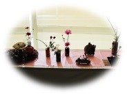 ikebana 2